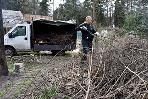 Iki specialių aikštelių – nepigus šakų kelias: prireiks dešimčių eurų 