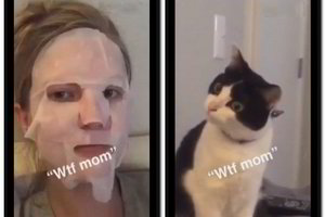 Katino reakcija į šeimininkę su kauke privers kvatoti iki ašarų