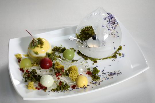 Gurmaniškas konkursas įkvėpė sukurti Birštono kulinarinį žemėlapį