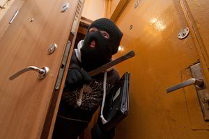 Kauno vagys miesto gyventojai pridarė nuostolių už 8,5 tūkst. eurų