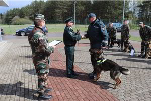Ramzio taurę laimėjo Klaipėdos policijoje tarnaujantis šuo