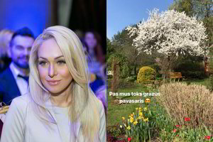 Santykių krizę išgyvenanti O. Pikul-Jasaitienė namuose susikūrė rojaus kampelį