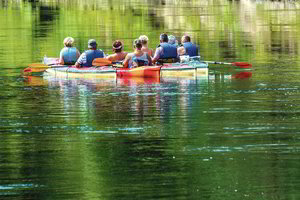 Dzūkai pasakė aiškiai: lenkai džiugina labiau nei lietuviai