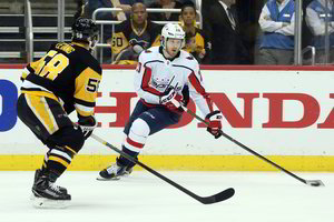 NHL čempionai Rytų konferencijos pusfinalyje patyrė antrąją nesėkmę