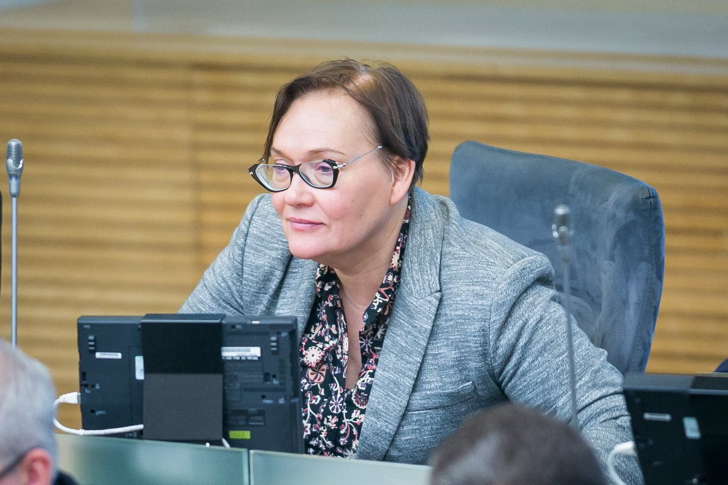 seimo nariai, Aušra Maldeikienė