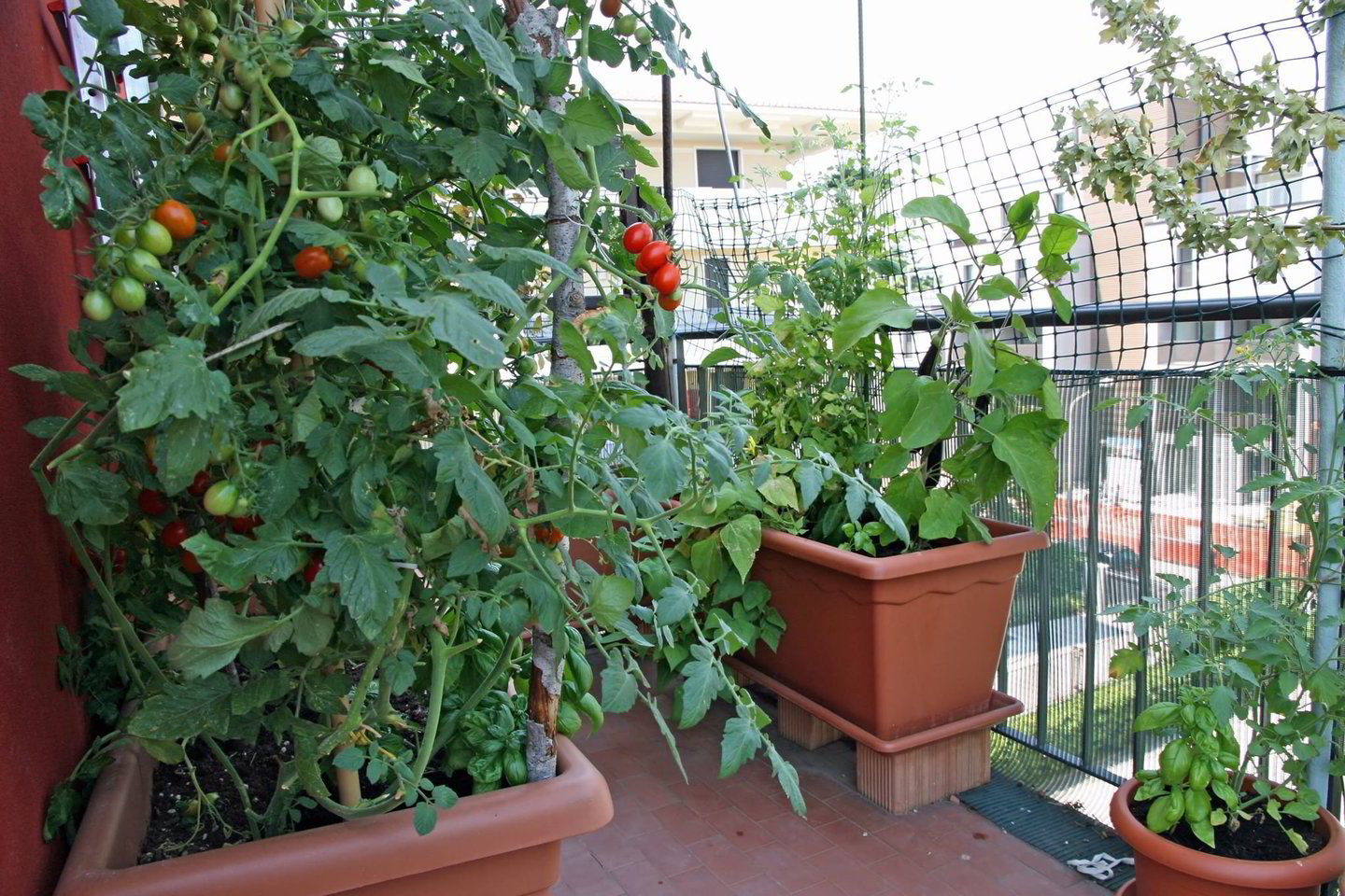 Namuose susiruošus auginti daržoves ar prieskonius, reikėtų pasirūpinti sėklomis ar daigais, substratu, drenažu, loveliais, vazonais ir trąšomis.<br> Shutterstock nuotr.