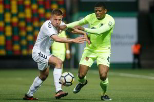 Pergalingas debiutas namuose – „Palanga“ nugalėjo „Trakus“