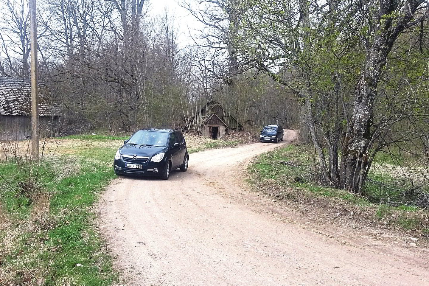Šiuo keliu Telšių rajono Getautės kaimo gyventojai naudojosi kelis dešimtmečius ir neįtarė, kad jo gali nelikti.<br>A.Pilaitienės nuotr.