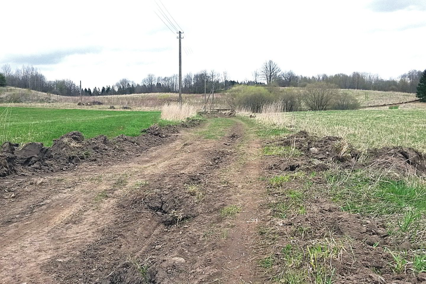 Aplinkinis kelias, kuriuo pasiūlyta važinėti Getautės žmonėms, kol kas tinka nebent vikšriniams traktoriams.<br>A.Pilaitienės nuotr.