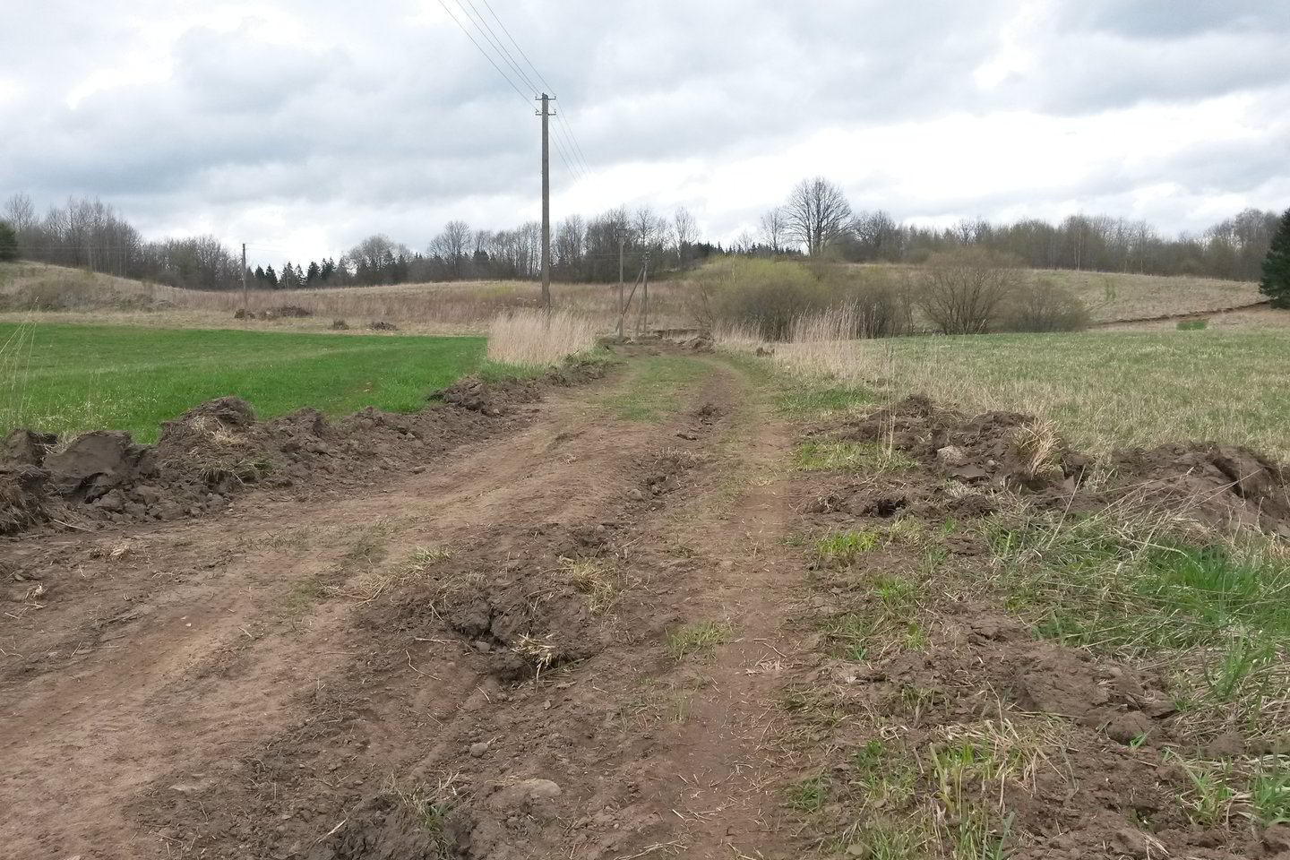 Aplinkinis kelias, kuriuo pasiūlyta važinėti Getautės žmonėms, kol kas tinka nebent vikšriniams traktoriams.<br> A. Pilaitienės nuotr.