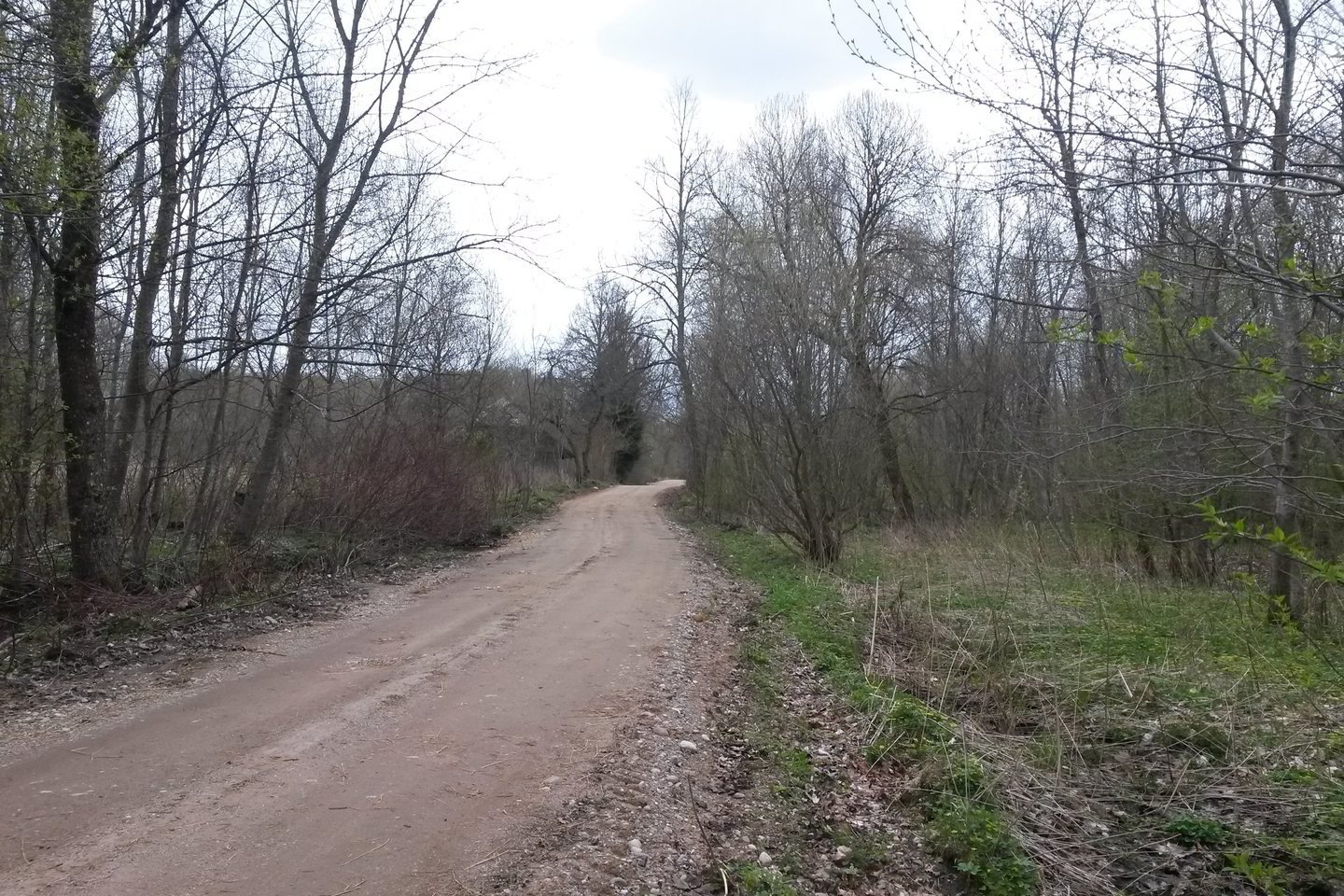 Aplinkinis kelias, kuriuo pasiūlyta važinėti Getautės žmonėms, kol kas tinka nebent vikšriniams traktoriams.<br> A. Pilaitienės nuotr.