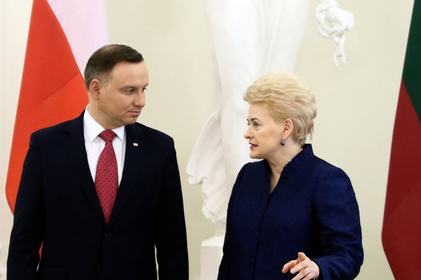 Lietuvos ir Lenkijos prezidentai Dalia Grybauskaitė ir Andrzejus Duda trečiadienį deklaravo ryžtą stiprinti dvišalius ryšius gynybos, ekonomikos, energetikos ir transporto srityse.