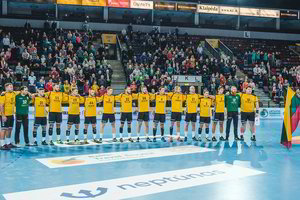 Prieš mūšius su islandų rankininkais, pasibandymas su baltarusiais