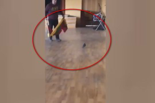 Žiūrovą papiktino gimnazijos aktų salėje užfiksuotas vaizdas: tai yra nepagarba