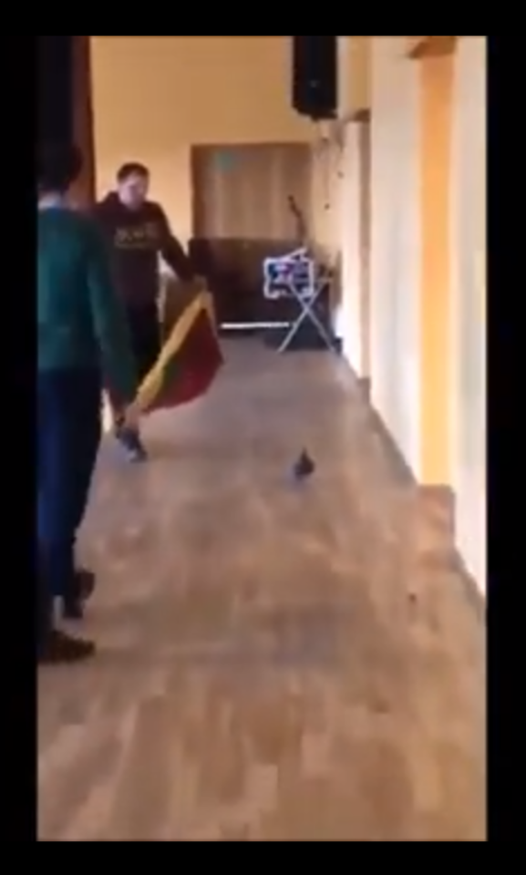  Kauno gimnazijoje balandį darbuotojai gaudė, naudodami Lietuvos Respublikos vėliavą. <br> Vaizdo įrašo stop kadras