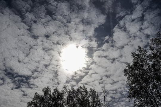 Orų prognozė: savaitgalio orai vasaros nebeprimins