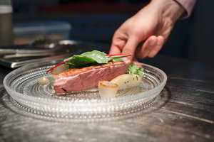 Paskelbti kandidatai į „30 geriausių restoranų“ Lietuvoje 