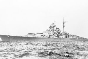 Išsprendė mįslę apie medžius be rievių. Kuo čia dėtas Antrasis pasaulinis karas?