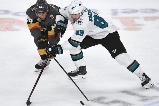 NHL naujokai atsidūrė per žingsnį nuo Vakarų konferencijos finalo