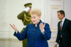 Politologai: tulpių skandalas parodė  D. Grybauskaitės leksikono turtingumą