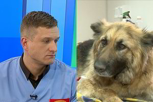 Po erkės įkandimo – kova už numylėto augintinio gyvybę