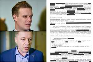 Aistros dėl VSD medžiagos: R.Karbauskis susižėrė laurus, G.Landsbergis kalba apie grėsmę