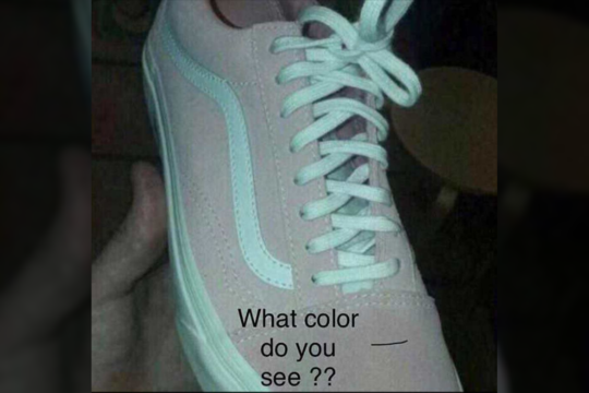 Sportbačio nuotrauka internete sukėlė audrą