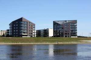 NT ekspertas: „Net finansiškai neraštingi žmonės gali tikėtis antros pensijos“