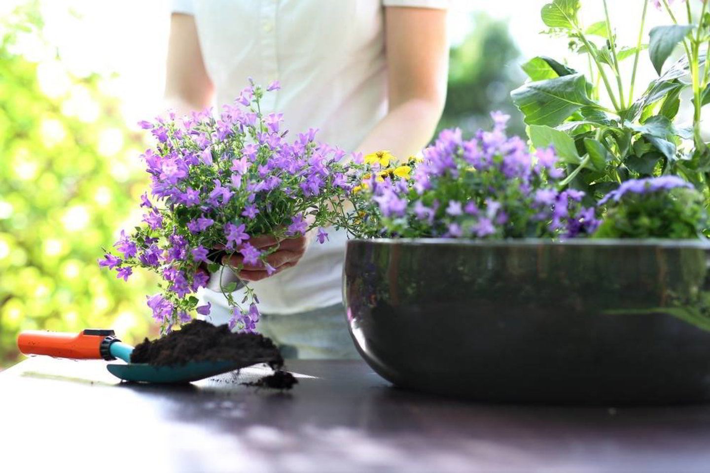  Jei tinkamai pasirinksite augalus ir susodinsite jų kompozicijas, žiedais galėsite džiaugtis visą sezoną.<br>„Shutterstock“ nuotr.