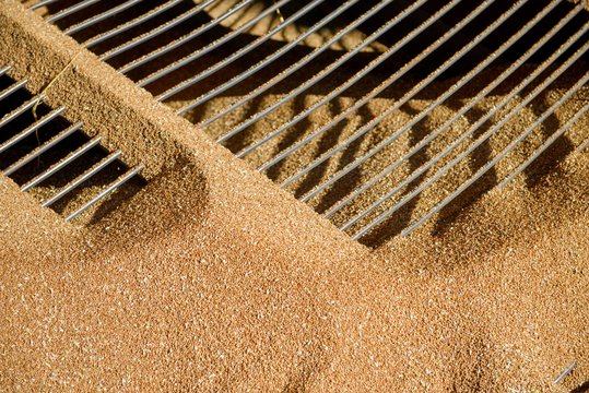 FNTT kratos suardė visą nelegaliai grūdais, pieno milteliais ir lentomis prekiavusių įmonių tinklą