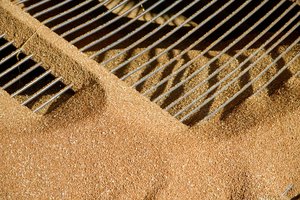 FNTT kratos suardė visą nelegaliai grūdais, pieno milteliais ir lentomis prekiavusių įmonių tinklą