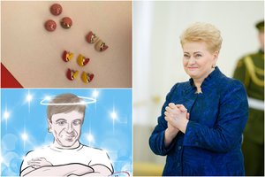 Menininkės įkvėpimo ieško ir politiniuose skandaluose