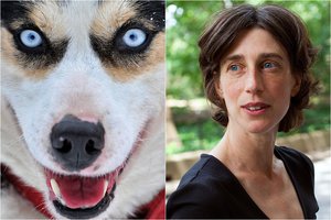 Kaip šunys mus supranta? Profesorė pateikė savo atsakymą