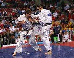 Lietuviai sieks Europos pilno kontakto karatė čempionų titulų