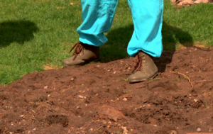 Per valandą, tiesiog pievoje – daržo gėrybių lysvė: vilnietės patirtis