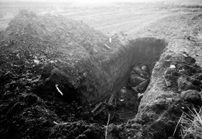 Karas Ukrainoje – iš arti. Šiurpūs karinės patirties neturėjusių savanorių liudijimai