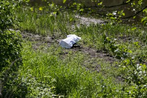 Popietę Vilniuje Neries upėje aptiktas skenduolis
