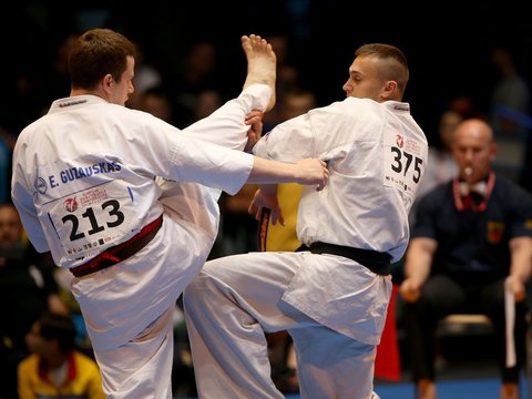 Europos kiokušin karatė čempionate lietuviai laimėjo 11 medalių