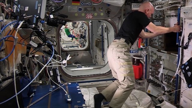 Žvilgsnis iš arčiau, kaip atliekami tyrimai Tarptautinėje kosminėje stotyje