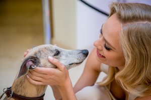 Gydytojas Alvydas Unikauskas pasakė, nuo kokių ligų augintiniai saugo savo šeimininkus