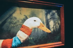 „Kad tave žąsis“ tos gyvenimo prasmės paieškos