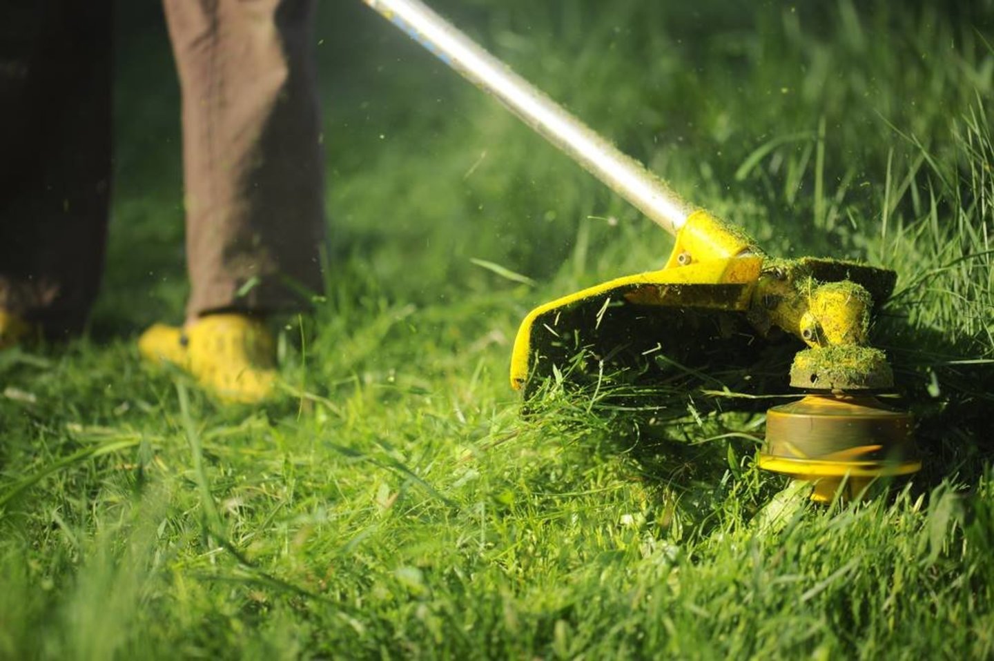  Tikėtina, kad net ir tinkamai prižiūrėdami savo veją, padarote tam tikrų klaidų, dėl kurių anksčiau ar vėliau iškyla vejos dekoratyvumo problemų.<br> „Shutterstock“ nuotr.