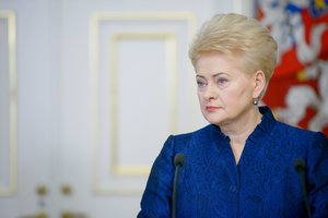 D. Grybauskaitė apie susirašinėjimą su E. Masiuliu: „Niekam „stogų“ nedalinau“