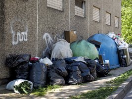 Du Seimo komitetai aiškinsis dėl šiukšlių krizės Vilniuje 