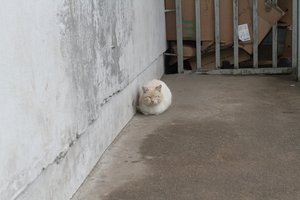 Akibrokštas už nužudymą 18 metų kalėjusiam vyrui: žinia buvo tikras likimo smūgis