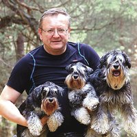 Vilnietį dresuotoją stebina šeimininkų elgesys su šunimis: baisu, ko žmonės pridaro