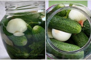 Švieži rauginti agurkėliai – paprasčiau nei paprasta