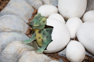 Kaip kelias tonas sveriantys dinozaurai nesutraiškydavo kiaušinių?