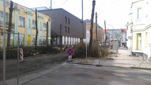 Lietuviai pratrūko: dėl kertamų medžių visoje šalyje rengia piketus