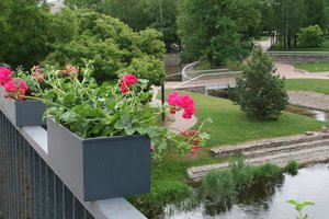 Tiltas per Šešupę Lietuvos kultūros sostinėje pražydo devintą kartą